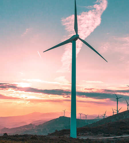 “Lorem ipsum dolor sit amet ana consectetuer. Amet vesti bulum.”